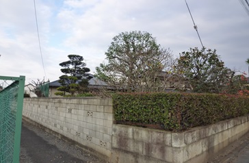 庭の剪定・除草の施工イメージ